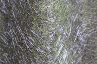 Lawrenny Quay fibreglass roof work